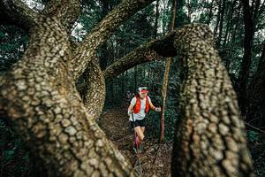 BIB: 
                            <button type="button" onclick="openModal(25392987)" class="btn btn-primary btn-sm float-right btn-popup" data-toggle="modal" data-target=".modal-high-quality">
                        <i class="fas fa-shopping-cart"></i> Add to Cart
                    </button>
                                            <button type="button" onclick="isThisMe(25392987, true)" class="btn btn-success btn-sm float-right btn-popup btn-isme hidden" data-toggle="tooltip" data-placement="bottom" title="นี่คือรูปของคุณใช่ไหม คลิกที่นี่เพื่อเอาเข้าอัลบั้ม">
                        <i class="fas fa-plus"></i> Add to album
                    </button>
                    <button type="button" onclick="isThisMe(25392987, false)" class="btn btn-warning btn-sm float-right btn-popup btn-isnotme hidden">
                        <i class="fas fa-ban"></i> Remove from album
                    </button>